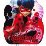 Pinhata para aniversário do tema Ladybug