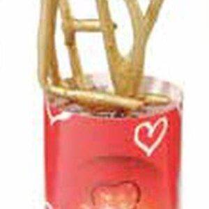 Mini Sparklers Love