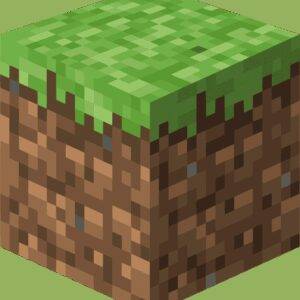Minecraft Party