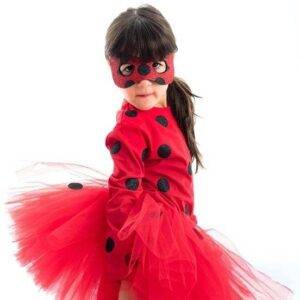 Conjunto Kutchies inspirado na Ladybug