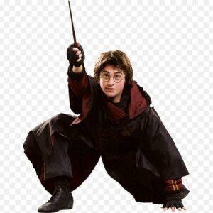 Harry Potter