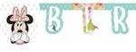 Grianlda Happy Birthday para festa Minnie Tropical