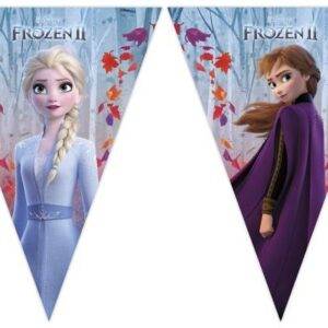 Grinalda de bandeiras para festa Frozen 2