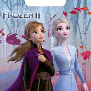 Disney Frozen 2 / Frozen 2 - sacos de lembranças para festa do tema Frozen 2