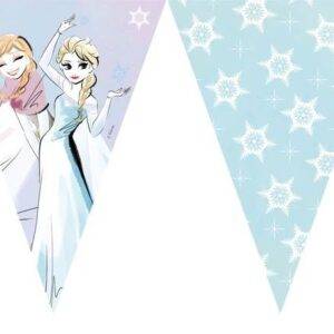 Frozen Sparkle - 1 banner de bandeira (triangular) (9 bandeiras)