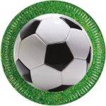 FUTEBOL (NOVO) - 8 pratos de papel grandes 23 cm