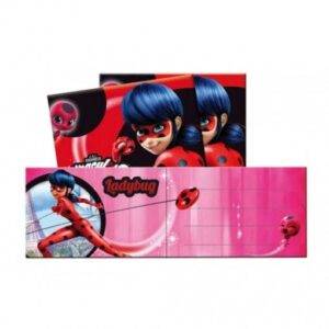 6 CONVITES LADYBUG