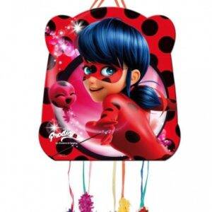 PINHATA BÁSCIA 28X33 CM LADYBUG