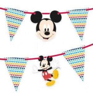 GRINALDA HAPPY BIRTHDAY MICKEY AWESOME