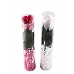 PETALAS DE FLORES