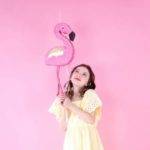 Pinhata - Flamingo