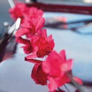 Decoração para carro guirlanda de flores