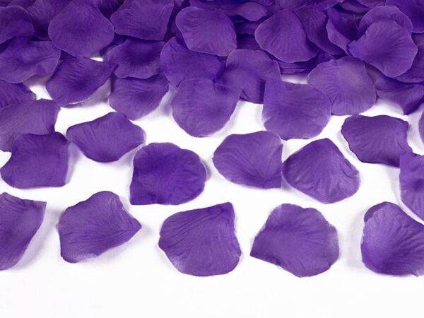 Pétalas de rosa - Violeta