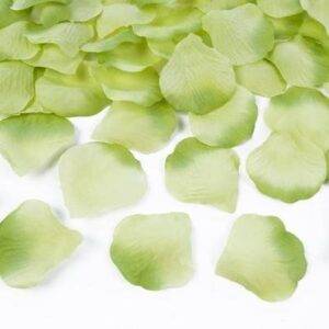 Pétalas de rosa - Verde claro