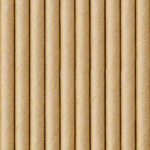 10 PALHINHAS DE PAPEL KRAFT