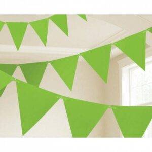 BANDEIRA TRIANGULAR PAPEL 4,5 M VERDE LIMA