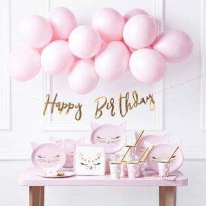 Conjunto de decorações de festa - gato