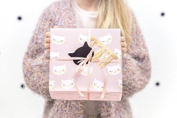 Decorações de papel Cat, mix