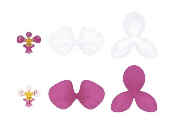 Decorações de papel Aloha - Orquídeas