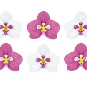 Decorações de papel Aloha - Orquídeas