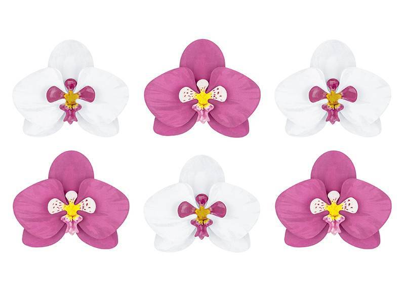Decorações de papel Aloha - Orquídeas
