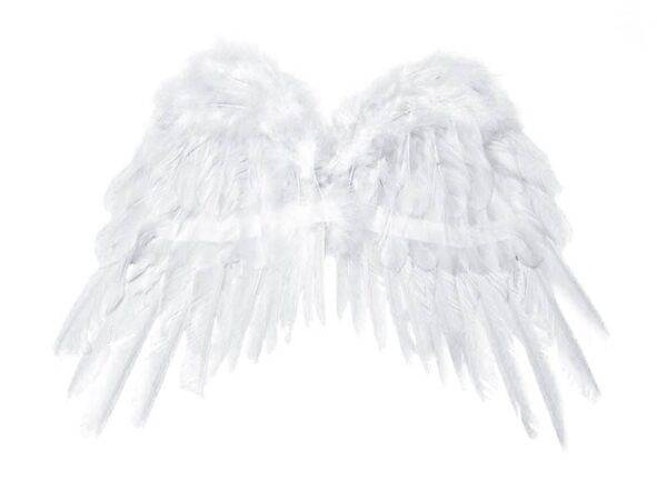Asas de anjo, brancas, 53 x 37 cm