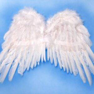 Asas de anjo, brancas, 53 x 37 cm