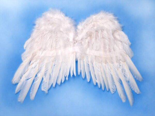 Asas de anjo, brancas, 53 x 37 cm