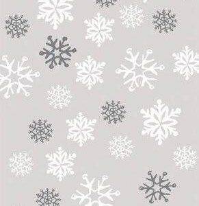 20 Sacos Celofane Floco de Neve