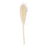 3 FLORES PAMPAS 80 CM CREME