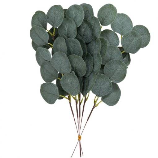 5 Ramos de folhas de eucalipto verdes - Image 2
